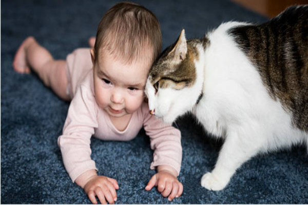 新生兒可以接觸貓嗎？嬰兒寵物過敏應對方法、專家級共處指南